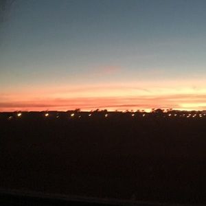 Meet your Posher, Lizbeth